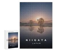 300 PCS Jigsaws Adults Puzzles Niigata Rice Fields Jigsaw for Adults Relax Games Birthday Present Birthday And Unique Gifts 300 PCS