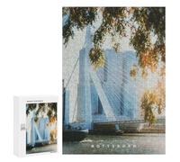 300 PCS Jigsaws Adults Puzzles Rotterdam Jigsaw for Adults Toy Wall Decor Perfect Decoration for Is Ideal As A Gift 300 PCS