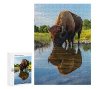 300 PCS Jigsaws for Adults Puzzle Bison Drinking from Pond Wildlife Photo Jigsaws for Adults Fun Games Stress Reliever Challenging To Complete 300 PCS