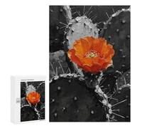 300 PCS Jigsaws for Adults Puzzle Orange Flower on Black And White Cactus Jigsaws for Adults Fun Games Stress Reliever Challenging To Complete 300 PCS