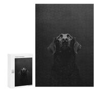 300 PCS Puzzle For Adults Flat-coated Retriever Photography Jigsaw for Adults Relax Games Staycation Kill Time Deal As Gifts for The Whole Family 300 PCS