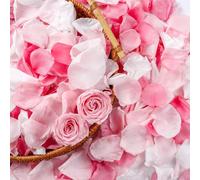 300 PCS Real Pink White Rose Flower Petals Confetti for Wedding Flower Girl to Throw, 2.82oz Freeze Dried Rose Petal for Proposal Centerpieces BabyShower Romantic Night Decor