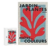 300 PCS Teenagers Puzzles Matisse Jardin Des Plantes Jigsaw for Teenagerss Improve Memory Every Piece Is Unique - Unique Birthday And Gifts 300 PCS