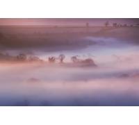 300 Piece Jigsaw Puzzle, Field, Trees, England, Great Britain 38x26CM