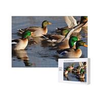 300 Pieces Jigsaw Puzzle with Storage Box, Mallard Ducks Printed Wooden Puzzle 40x28 CM for Adults Kids Family Fun Decorative Game