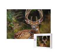 300 Pieces Jigsaw Puzzle with Storage Box, Whitetail Deer Fawn in Wilderness Stag Printed Wooden Puzzle 40x28 CM for Adults Kids Family Fun Decorative Game