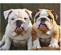 300 Pieces Jigsaw Puzzles For Adults English Bulldog Jigsaw Puzzles Props For Youth Children Funny Games Educational Toys Diy Modernation Gifts For Dogs Lover 38x26CM