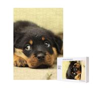 300 Pieces Jigsaw Puzzles Wooden Jigsaw Toy Family Game for Adults Teens,Rottweiler Dogs Cute Dogs Puppy Pets Small