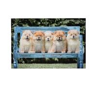 300 PiecesChow-Chow Cute Dogs Five Puppies Puzzles for Adults-Wooden Jigsaw Puzzle for Adults Elderly