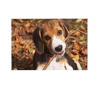 300 PiecesCute Beagle Puzzles for Adults-Wooden Jigsaw Puzzle for Adults Elderly