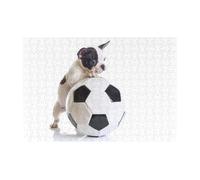 300 PiecesFrench Bulldog Puppy With Soccer Ball Puzzles for Adults-Wooden Jigsaw Puzzle for Adults Elderly