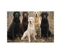 300 PiecesLabrador Retrievers Dogs Black Golden White Brown Puzzles for Adults-Wooden Jigsaw Puzzle for Adults Elderly