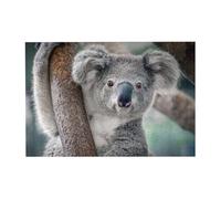 300 PiecesLaid-Back Koala Puzzles for Adults-Wooden Jigsaw Puzzle for Adults Elderly