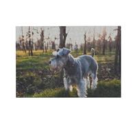 300 PiecesMiniature Schnauzer Lawn Pets Gray Dogs Puzzles for Adults-Wooden Jigsaw Puzzle for Adults Elderly