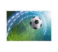 300 PiecesSoccer Sports Ball Printed Puzzles for Adults-Wooden Jigsaw Puzzle for Adults Elderly