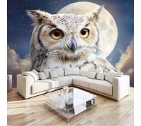 300 x 210 cm Wall Murals, Blue Fantasy Full Moon Night Sky Owl Non-Woven Mural Paste the Wall Covering, Large Photo Wallpaper for Living Room Bedroom Kitchen Office Kids