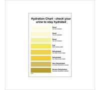 (300 x 400mm - 12 x 16, A - Sticker / Sav - Non-See Through) GE988 Hydration Chart Check Your Urine Sign Medical Water Body Glucose Chart 450mm x 600mm B - Magnetic - Vehicle Grade