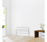 (300 x 830mm-2 Column) NRG Traditional White Bathroom Cast Iron Radiator
