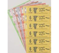 3000 6 GAME 6 TO VIEW JUMBO BINGO BOOKS - BOLD NUMBERS