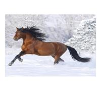 3000-Piece Adult Jigsaw Puzzle, Galloping Horses, Educational Family Game, Toy & Gift for Teens & Friends