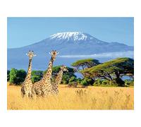 3000 Piece Jigsaw Puzzle for Adults, Kilimanjaro Snow Mountain and Giraffes, the Iconic Snow Mountain in Africa Jigsaw Puzzle, Educational Game Toy Gift for Teens