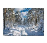 3000 Piece Jigsaw Puzzles for Adults, Landscape Puzzles for Adults, Gift for Women, Christmas, Family Wooden Puzzle Educational Games, Challenging Adult Jigsaws, Box Packaging, Winter Pattern F-49