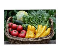 3000 Piece Jigsaw Puzzles for Adults, Vegetable Jigsaw Puzzles for Adults 3000 Piece, Classic Puzzle Challenging Game for the Whole Families Suitable for Decompression Gifts Theme: (Kitchen), -1977