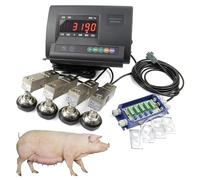 3000kg/6600lbs Livestock Scale Kit with Steel Beam Compression Load Cell - Heavy Duty Floor Scale for Cattle, Horses, Pigs, Sheep & Goats - Includes Digital Weight Indicator