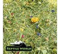 (300g (3x100g)) Reptile World Tortoise Edible Bedding - Flower & Plant Bedding Food, Botanical