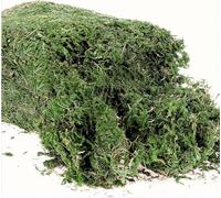 300g Artificial Fake Moss Craft Moss Artificial Moss 10.6 Ounce Floral Decorative Fake Moss Artificial Fresh Green Moss for Potted Plant Centerpieces Terrariums Decor Life-Like Garden Lawn Grass