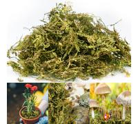 300g Dried Forest Moss for Potted Plants Green Artificial Moss Decorat