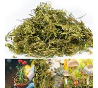 300g Dried Forest Moss for Potted Plants Green Artificial Moss Decoration Natural Sphagnum Moss for Terrarium Decor, Orchid Soil Medium (8 Quarts)
