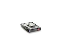 300GB 10.000Rpm 2.5 Inch SAS