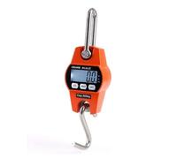 300kg/50g Digital Crane Scale - Industrial Heavy Duty Hanging Hook Scales with Stainless Steel, KG/LB/N, Backlit Display, Sturdy & Safe
