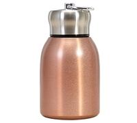 300ML Small Water Bottle Safe Stainless Steel Small Flask Vacuum Insulated Thermal Cup Leak-Proof Portable Mini Water Bottle with Hook for Indoor Outdoor Rose Gold