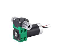 300mLPM Electric Micro Diaphragm Liquid Pump 10m Lift Self-Priming Brushless Water Pump Low Pulsation Corrosion-Resistant(12V L01BK1240 DN4-6)