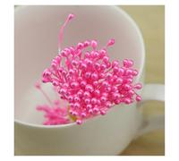 300pcs Aerificial Pearl Flower Stamen Double Head Craft Stamens For Cake Decorating, Floral DIY Projects, Handmade Jewelry, Cotton Thread Stamens Assorted Colors(Dark Pink)