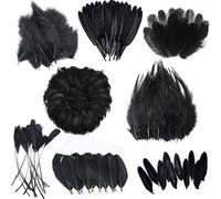 300PCS Black Feathers, 7 Styles Assorted Crafts Feathers, Feather, Feathers for DIY Dream Catchers, Halloween Costume, Handmade Earring, Wedding Party, Easter Home Activities Decoration