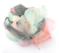 300Pcs Feathers for Crafts, GLADFRESIT Colorful Feathers Natural Goose Feathers, Fluffy Feathers for DIY Crafting Box Filling Decoration (Morandi)