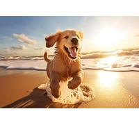 300pcs Fun Jigsaw Puzzle for Adults Dog Playing in The Water at The Beach with The Sun Behind Him Puzzles Fun Educational Games Toy Birthday Gift Art Home Decorch