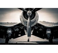 300pcs Jigsaw Puzzle for Adults Grounded Small Light Aircraft Aviation Plane Puzzles for Adults Teens Relaxing Artwork Wooden Puzzles Fun Family Games Preschool Toys Gift