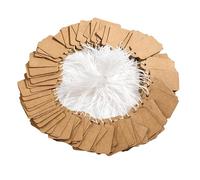 300PCS Mini Strung Price Tags - White String Pricemarker Labels, 30x48mm Tie on Paper Tags, Jewelry Marking Tags - Blank Gift Marking Labels with String for Jewelry Clothing Display