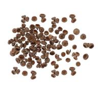 300pcs Miniature Natural Acorn Caps Vase Filler for DIY Crafts | Rustic Coffee Colour, Outdoor Garden Styling, Autumn and Christmas Display Accents