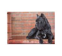 300pcsCane Corso Big Black Dogs Pets Puzzles With Packaging Box for Adults-Wooden Jigsaw Puzzle
