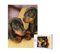 300pcsDachshund Puppies Pets Dogs Small Dachshund Puzzles With Packaging Box for Adults-Wooden Jigsaw Puzzle