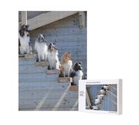 300pcsDogs Border Collie Shetland SheepDogs Alaskan Puzzles With Packaging Box for Adults-Wooden Jigsaw Puzzle