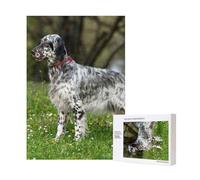 300pcsEnglish Setter Lawn Pets Dogs English Setter Puzzles With Packaging Box for Adults-Wooden Jigsaw Puzzle