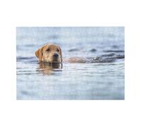 300pcsGolden Retriever Floating Dogs Pets Labrador Puzzles With Packaging Box for Adults-Wooden Jigsaw Puzzle