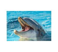 300pcsLovely Dolphin Printed Puzzles With Packaging Box for Adults-Wooden Jigsaw Puzzle
