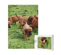 300pcsRhodesian Ridgebacks Dogs Puppies Pets Family Puzzles With Packaging Box for Adults-Wooden Jigsaw Puzzle